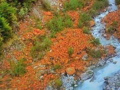 -午潮山国家森林公园