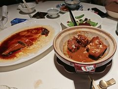 -侨美·唐荔园·40年地道粤菜