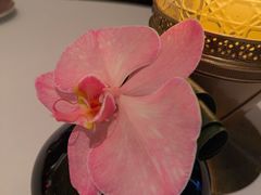 -Caprice(香港四季酒店)