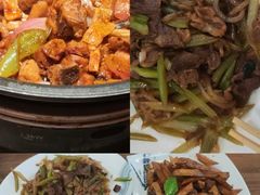 -纯肴大东北(新城北街店)