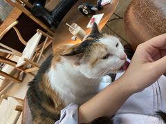 -黑胶星球(华发中城商都店)