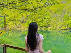 -龙道沟景区