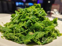 山胡椒油丝瓜尖-匠熙小馆(崇文门店)