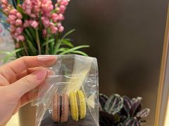 -PAUL LAFAYET 法式甜品(港汇广场店)