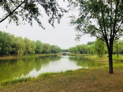 -东郊湿地公园