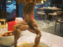-麻辣巅峰美蛙鱼头火锅(犀浦店)