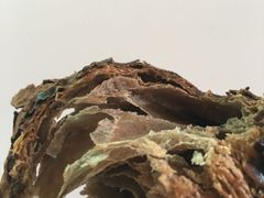 -卡滋贝诺(步行街店)