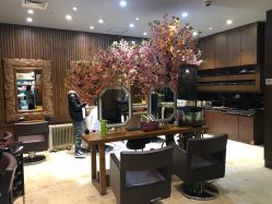 -红人馆造型世爵国际