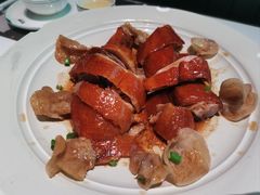 -新兴·金羊座·粤菜点心(乐峰店)