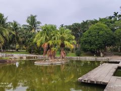 -红色娘子军纪念园