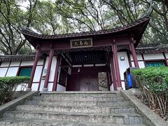 -上海佘山国家森林公园天马山园