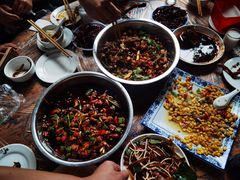 -食神又名厕所兔