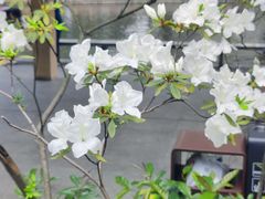 -晓港公园