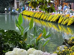 -杭州植物园