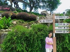 -正荣酒家葱葱鲫鱼