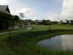 -瓦洛洛传统市场
