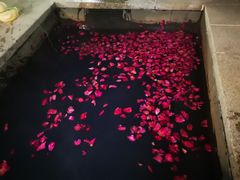 -北京益泉花园酒店