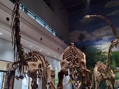 -自贡恐龙博物馆