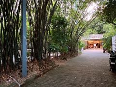 -一粥(华侨城创意文化园店)