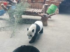 -石家庄市动物园