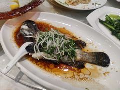 清蒸大海斑-大东海海鲜酒楼(渔人码头总店)