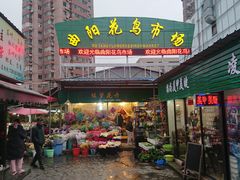门面-曲阳花鸟市场(曲阳路店)