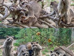 -宁波野生动物园