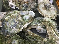 -大富蚝乌东哥饭店·石锅鱼杂·柠檬鸭(革新路店)