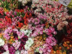 -循礼门鲜花花市(武汉循礼门店)