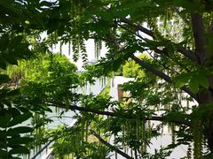 -岁粤Moon·湖景餐厅(月光码头店)