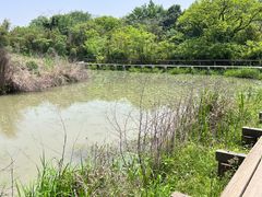 -西溪国家湿地公园