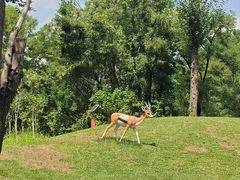 -北京野生动物园
