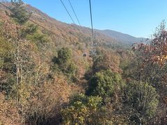 -紫金山索道-售票处