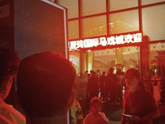 -灵玲国际马戏城