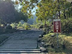 -火炉山森林公园