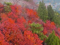 -香山公园