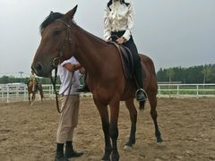 -月河湾马术俱乐部(朝阳店)