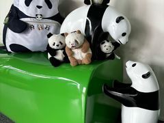 -乐和乐都主题乐园