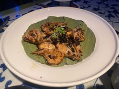 -桂满陇天书(南京德基旗舰店)