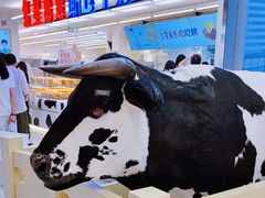 -红星前进面包牛奶公司(君太店)