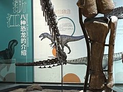 -衢州市博物馆