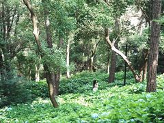 -临平公园(临平街道)