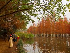 -白鹭湾湿地公园