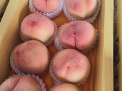 -南汇水蜜桃采摘(大团店)