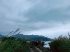 -盐洲岛