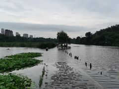 -前关湿地公园