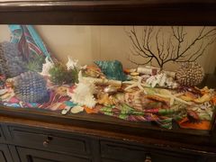 -开海·红岛海鲜虾水饺(石老人店)