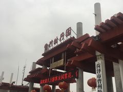 -曹州牡丹园