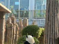 -大连森林动物园