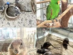 -海合安武汉极地海洋公园